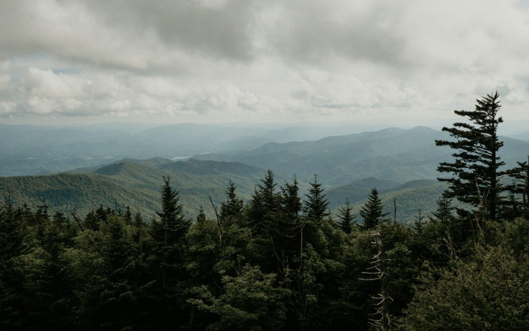 Building Better Homes in Tennessee